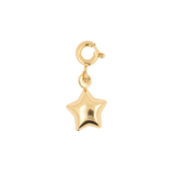 Growth  Full Star Charm