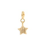 Brushed star charm in 925 sterling silver, symbolizing growth and transformation with a timeless design.