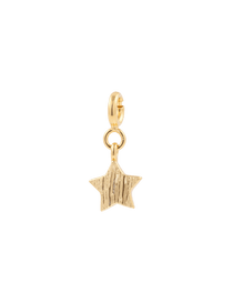 Brushed star charm in 925 sterling silver, symbolizing growth and transformation with a timeless design.
