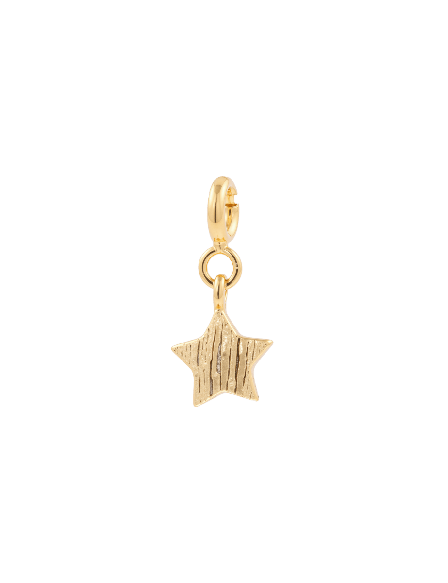Brushed star charm in 925 sterling silver, symbolizing growth and transformation with a timeless design.